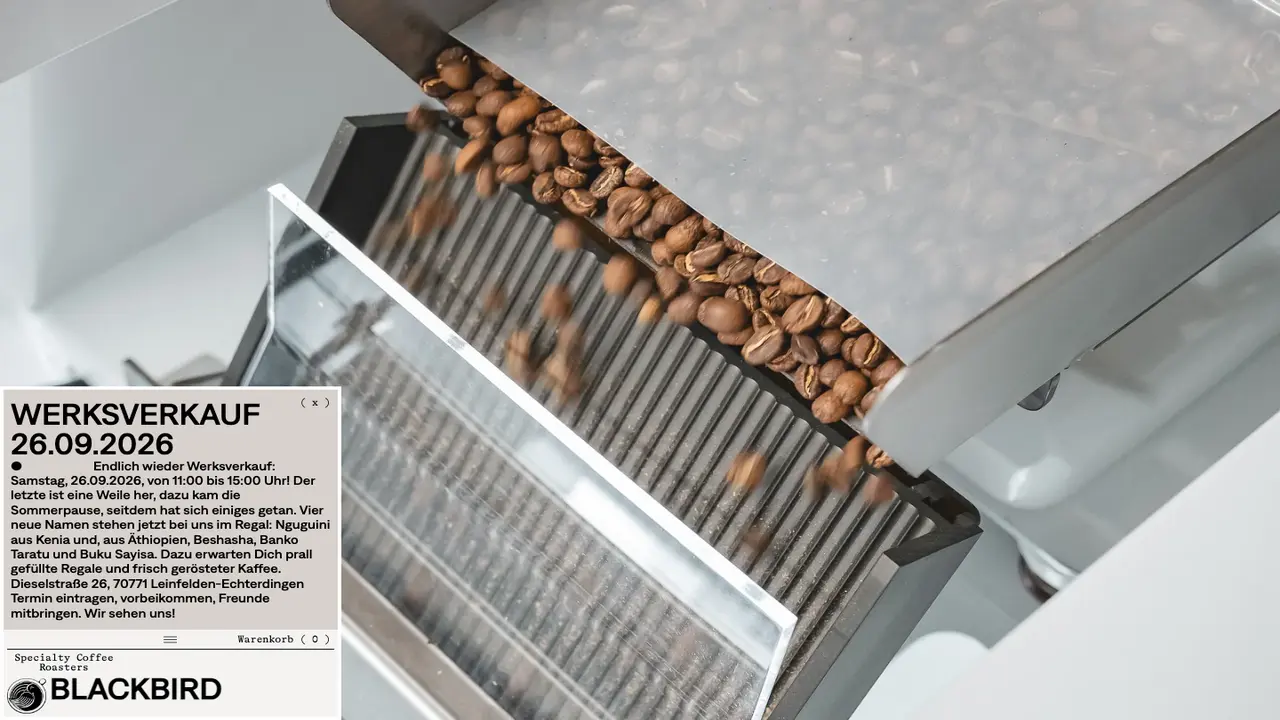 Website der BlackBird Coffee