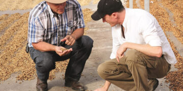 Der Weltverbesserer – Wie Will Young die Kaffeewelt sozialer macht