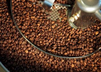 Robusta-Kaffee: Warum Fine Robusta das neue Potenzial für Kaffeeliebhaber ist.