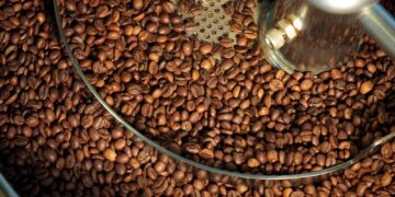 Robusta-Kaffee: Warum Fine Robusta das neue Potenzial für Kaffeeliebhaber ist.