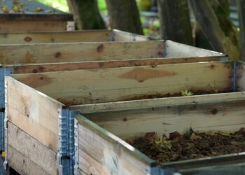 Holzkisten mit Humus