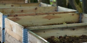 Holzkisten mit Humus