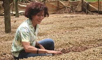 Frau beugt sich ueber Kaffeesetzlinge auf Plantage Santa Elena