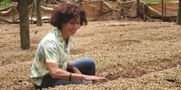 Frau beugt sich ueber Kaffeesetzlinge auf Plantage Santa Elena