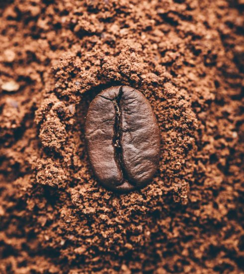 Coffee bean on heap of grinded coffee