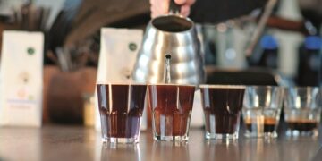 Sensorik: in 6 Schritten zum Kaffee-Profi