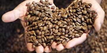 zwei Haende mit Kaffeebohnen Aromen