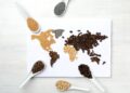 Map of world made from different kinds of spices