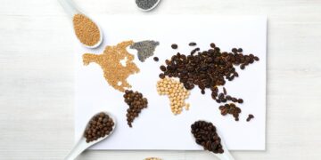 Map of world made from different kinds of spices