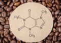 Koffein: Das solltest du darüber wissen