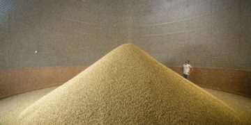 Aquiares Estate in Costa Rica: Wie eine Kaffeeplantage Klimastützpunkt wird