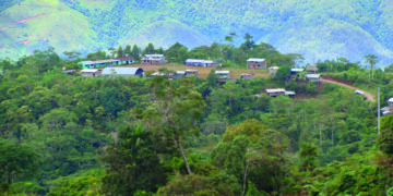 Gesundheit auf der Finca: Einblicke in die Erzeugergemeinschaft von Miguel Grau in Peru