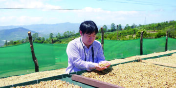 Von der japanischen Kaffeemagie