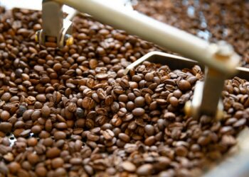 Close-up of Raw Coffee Beans In Roaster Machine