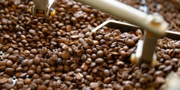 Close-up of Raw Coffee Beans In Roaster Machine