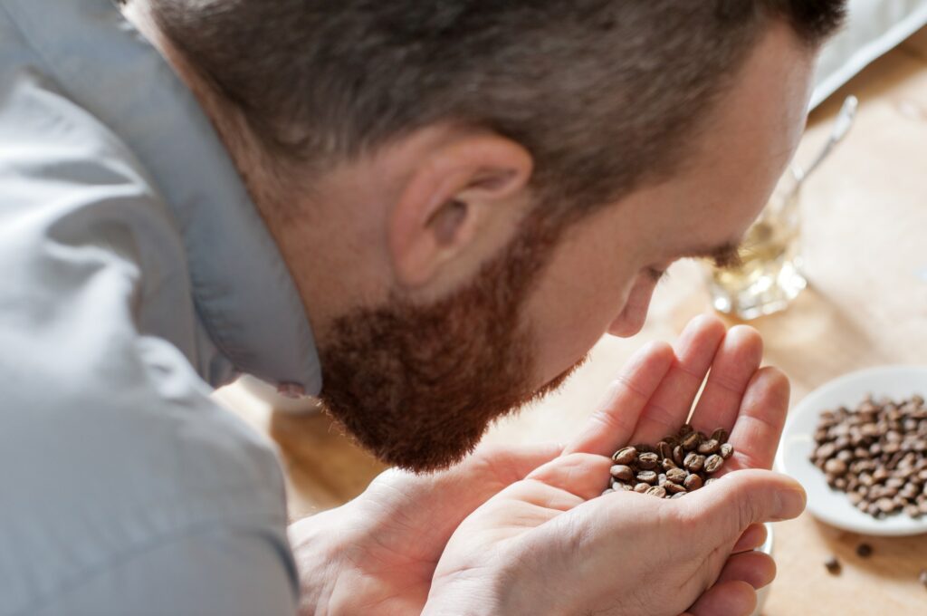Coffee taster smelling coffee beans
