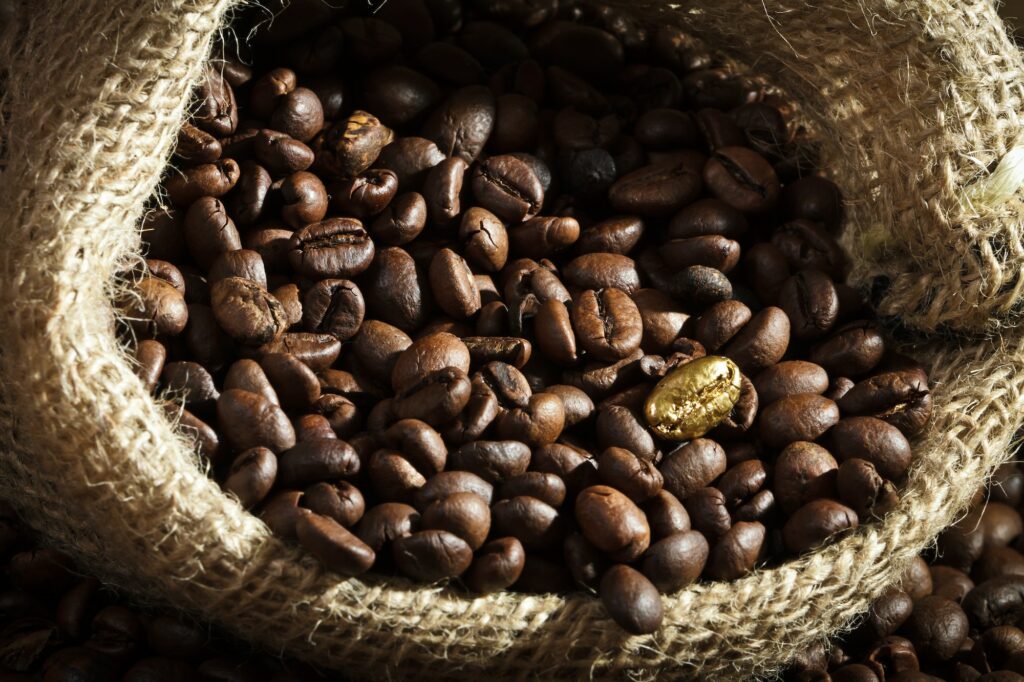 Golden coffee seed on burlap coffee sack