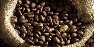 Golden coffee seed on burlap coffee sack