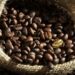 Golden coffee seed on burlap coffee sack
