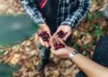 Raw coffee in the hands of farmers,cherry coffee beans