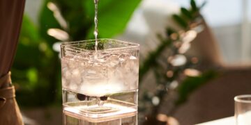Barista Pouring Water in Coffee Maker