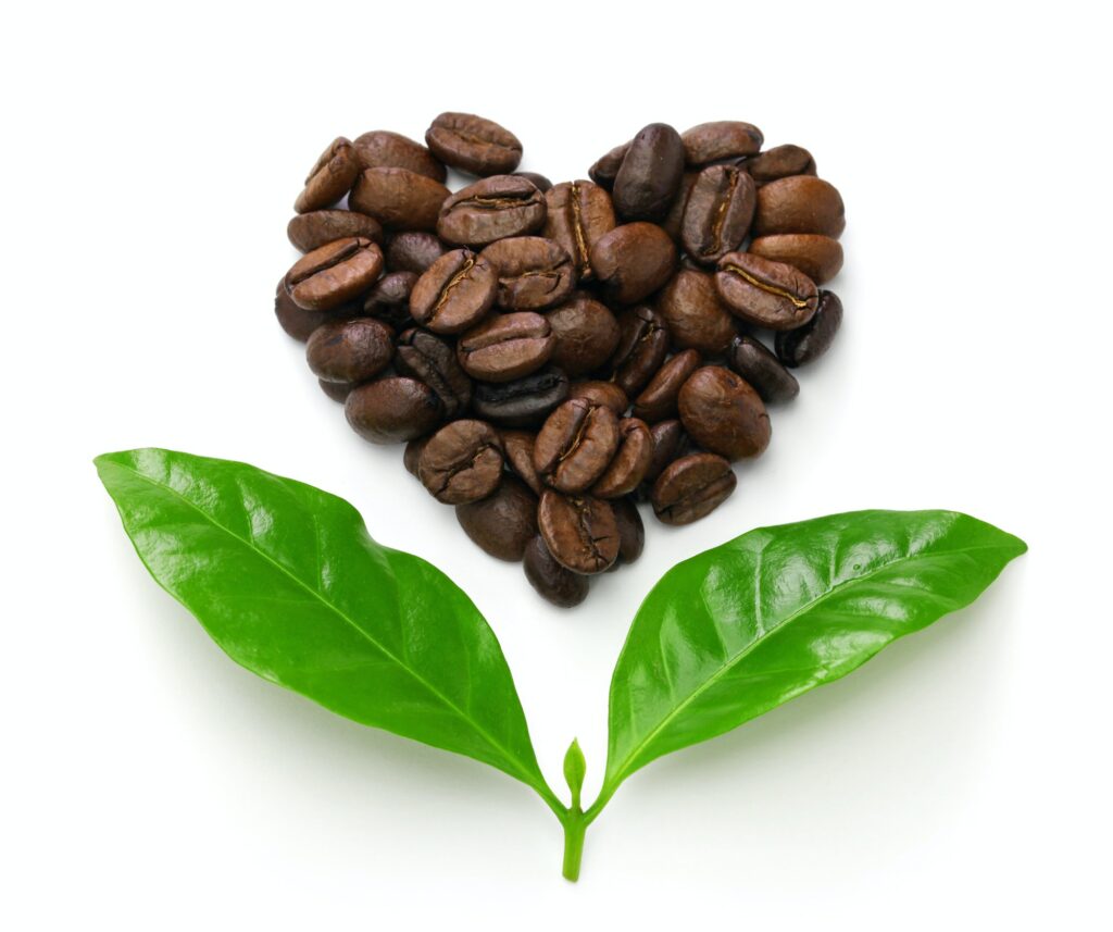 heart shaped roasted coffee beans and leaves, fair trade concept image isolated on white background