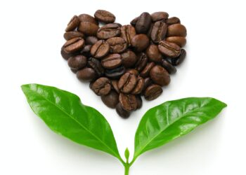 heart shaped roasted coffee beans and leaves, fair trade concept image isolated on white background