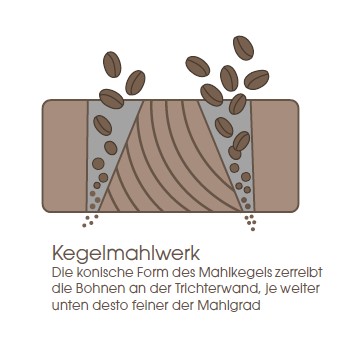 Kegelmahlwerk im Detail