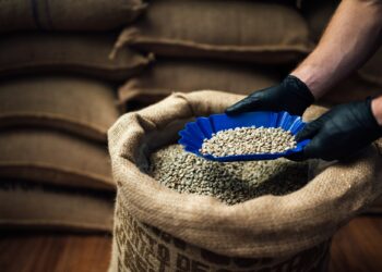 side view of bowl for tasting with coffee beans