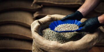 side view of bowl for tasting with coffee beans