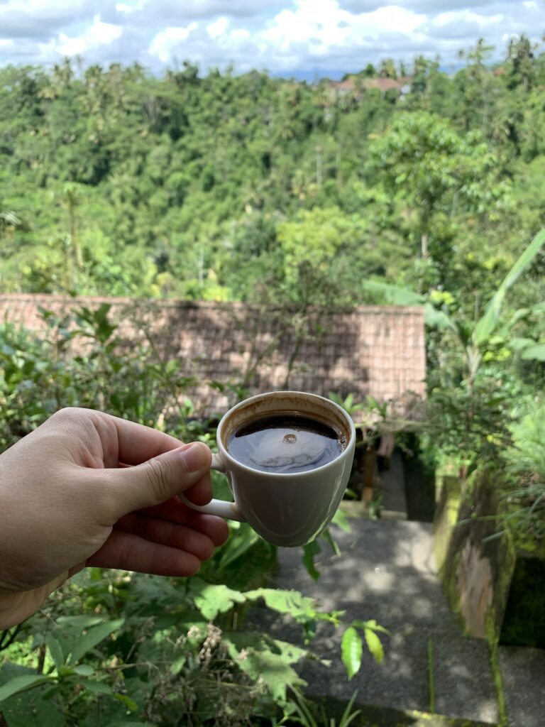 World Most Expensive Coffee, Luwak Coffee
