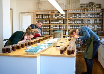 drei Leute ueber Kaffeetassen auf tisch gebeugt und riechen daran