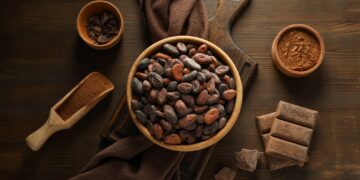 Concept of fresh and aromatic food - cacao beans