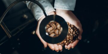 Coffee cooling in roaster machine at coffee roasting process.