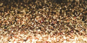 Washes process coffee with sunlight