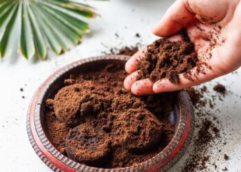 Kaffeesatz: 7 überraschende Verwendungen, die jeder Kaffeeliebhaber kennen sollte